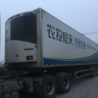 واحد فریزر ترمو کینگ 0 درجه سانتیگراد SLXI 300 برای خنک کردن مواد غذایی